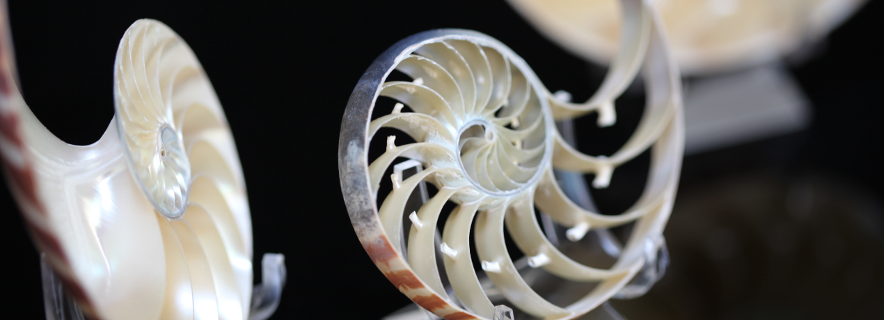 Ganitham can dissect the opportunities for you